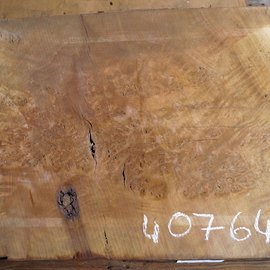 Laurel, burl slab, approx. 1200 x 620 x 65 mm, 40764