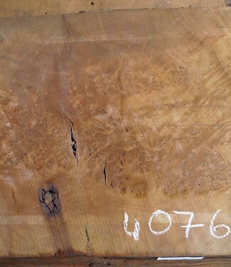 Laurel, burl slab, approx. 1200 x 620 x 65 mm, 40764