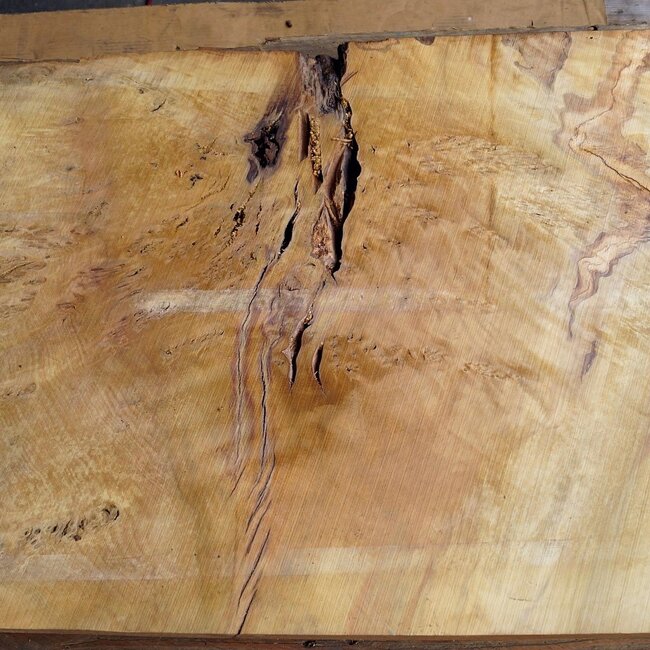 Laurel, Maserplatte, ca. 1200 x 620 x 65 mm, 40764