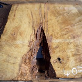 Laurel, burl slab, approx. 900 x 610 x 60 mm, 40768