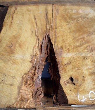 Laurel, burl slab, approx. 900 x 610 x 60 mm, 40768