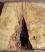 Laurel, burl slab, approx. 900 x 610 x 60 mm, 40768