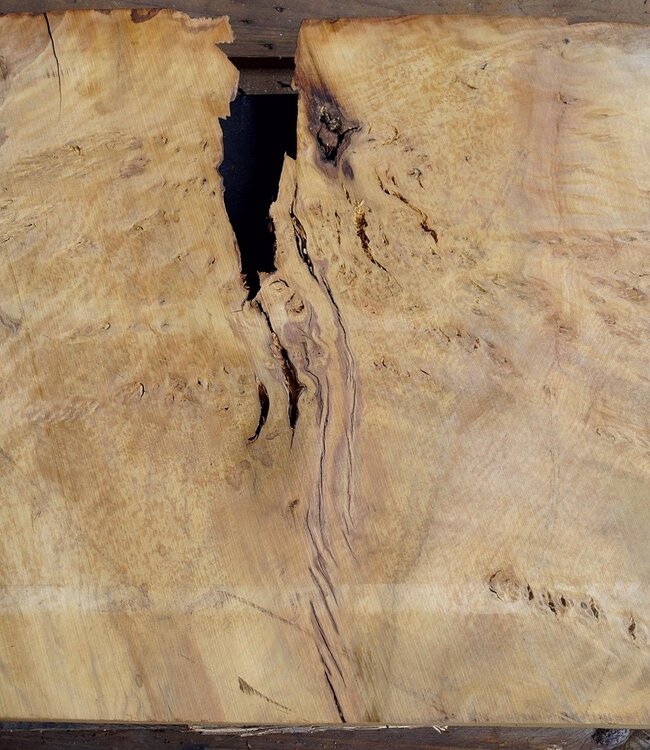 Laurel, Maserplatte, ca. 900 x 610 x 60 mm, 40768