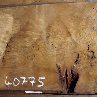 Laurel, burl slab, approx. 970 x 570 x 63 mm, 40775