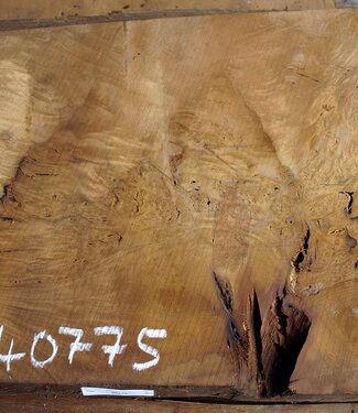 Laurel, Maserplatte, ca. 970 x 570 x 63 mm, 40775