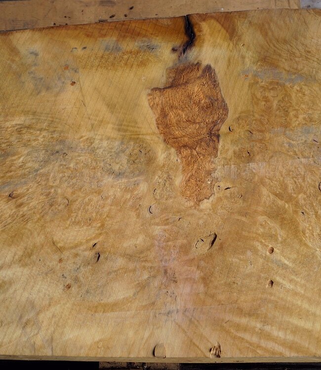 Laurel, burl slab, approx. 970 x 570 x 63 mm, 40775