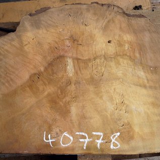 Laurel, burl slab, approx. 690 x 580 x 65 mm, 40778