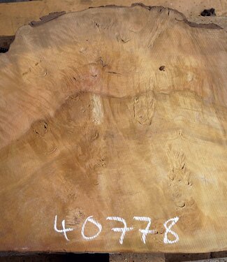 Laurel, Maserplatte, ca. 690 x 580 x 65 mm, 40778