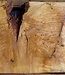 Laurel, burl slab, approx. 980 x 570 x 63 mm, 40781