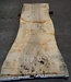 Esche Maser Tischplatte, ca. 2300 x 820 x 65 mm, 11940