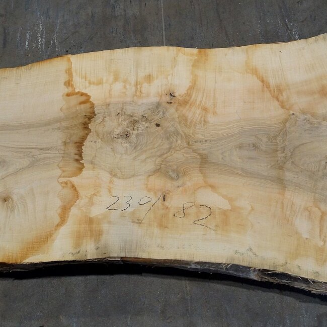Esche Maser Tischplatte, ca. 2300 x 820 x 65 mm, 11940