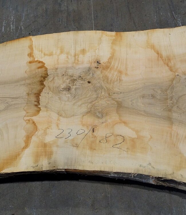 Esche Maser Tischplatte, ca. 2300 x 820 x 65 mm, 11940