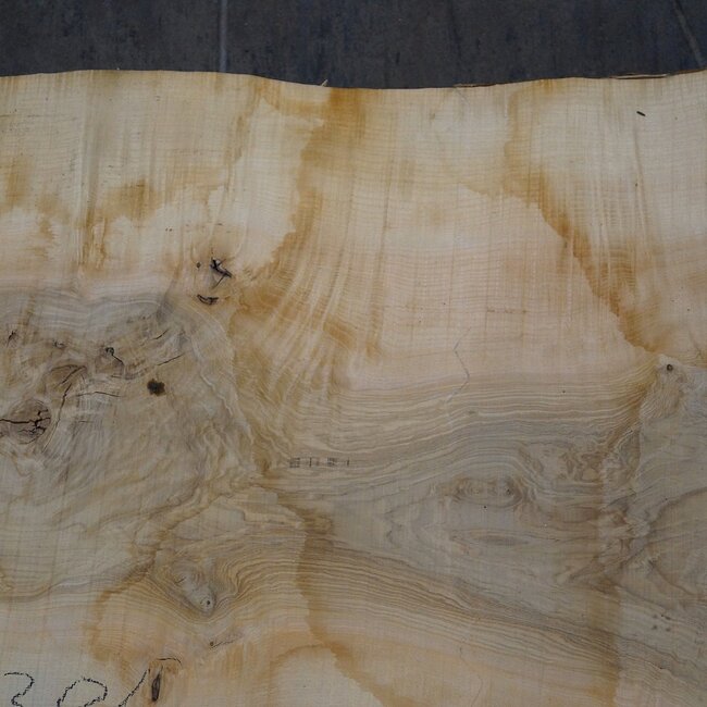 Ash burl, table top, approx. 2300 x 820 x 65 mm, 11940