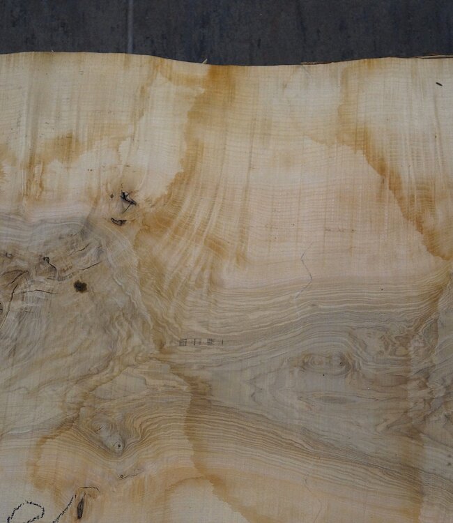 Esche Maser Tischplatte, ca. 2300 x 820 x 65 mm, 11940