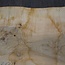 Ash burl, table top, approx. 2300 x 820 x 65 mm, 11940