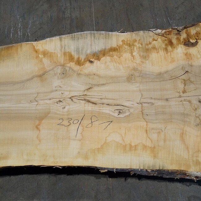 Esche Maser Tischplatte, ca. 2300 x 810 x 65 mm, 11942