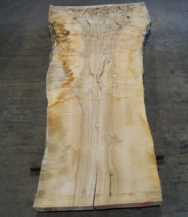 Esche Maser Tischplatte, ca. 2300 x 810 x 65 mm, 11942