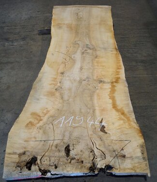 Esche Maser Tischplatte, ca. 2000(2300) x 780 x 65 mm, 11944