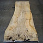 Ash burl, table top, approx. 2000(2300) x 780 x 65 mm, 11944