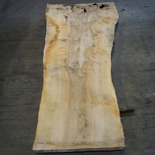 Ash burl, table top, approx. 2000(2300) x 780 x 65 mm, 11944