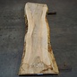 Olive Ash, table top, approx. 2400 x 530 x 65 mm, 11948