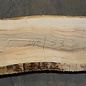 Olive Ash, table top, approx. 2400 x 530 x 65 mm, 11948