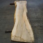 Olive Ash, table top, approx. 2400 x 530 x 65 mm, 11948