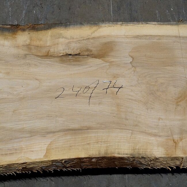 Olive Ash, table top, approx. 2400 x 740 x 65 mm, 11950