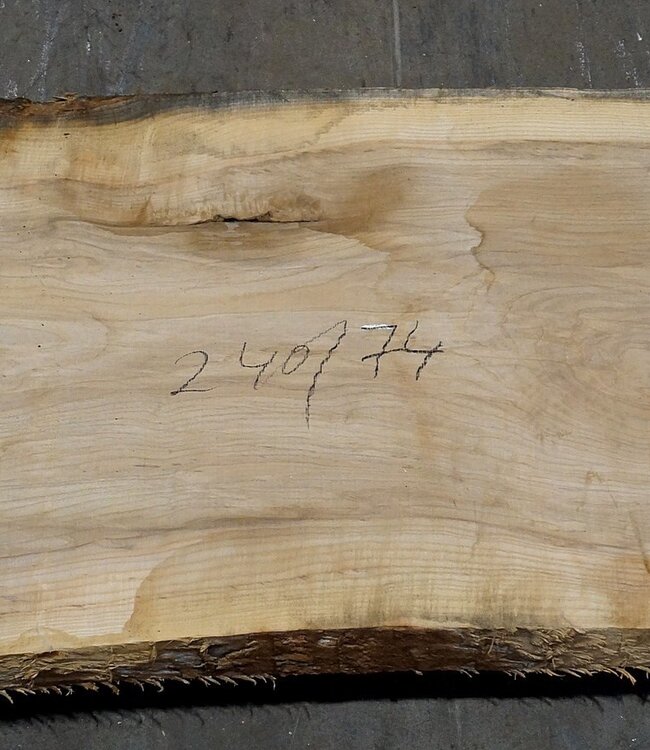 Olive Ash, table top, approx. 2400 x 740 x 65 mm, 11950