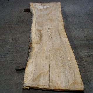 Olive Ash, table top, approx. 2400 x 740 x 65 mm, 11950