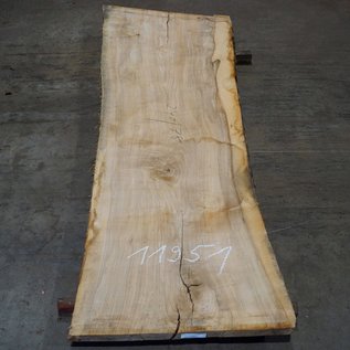 Olive Ash, table top, approx. 2400 x 780 x 65 mm, 11951