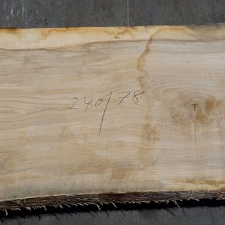 Olive Ash, table top, approx. 2400 x 780 x 65 mm, 11951