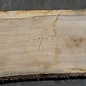 Olive Ash, table top, approx. 2400 x 780 x 65 mm, 11951