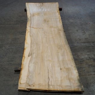 Olive Ash, table top, approx. 2400 x 780 x 65 mm, 11951