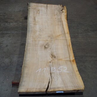 Oliv-Esche Tischplatte, ca. 2400 x 820 x 65 mm, 11952