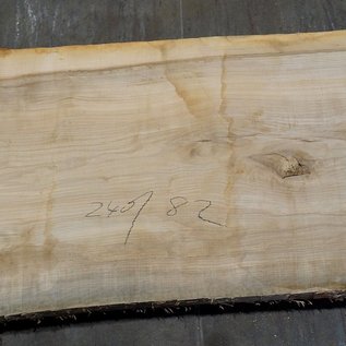 Olive Ash, table top, approx. 2400 x 820 x 65 mm, 11952