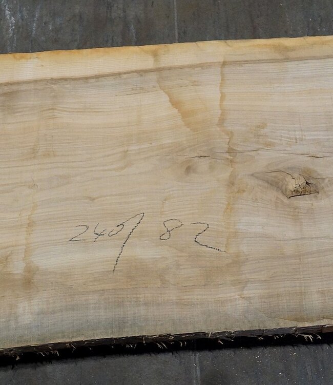 Olive Ash, table top, approx. 2400 x 820 x 65 mm, 11952