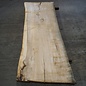 Olive Ash, table top, approx. 2400 x 820 x 65 mm, 11952