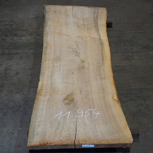 Olive Ash, table top, approx. 2400 x 780 x 65 mm, 11954