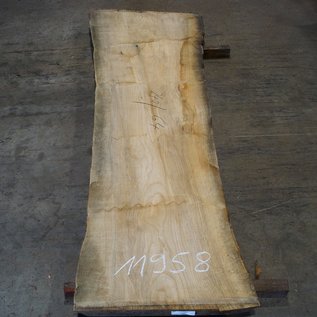 Olive Ash, table top, approx. 2400 x 640 x 65 mm, 11958