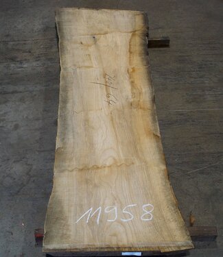 Oliv-Esche Bohle, ca. 2400 x 640 x 65 mm, 11958