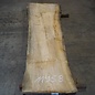 Oliv-Esche Bohle, ca. 2400 x 640 x 65 mm, 11958