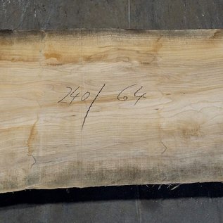 Olive Ash, table top, approx. 2400 x 640 x 65 mm, 11958