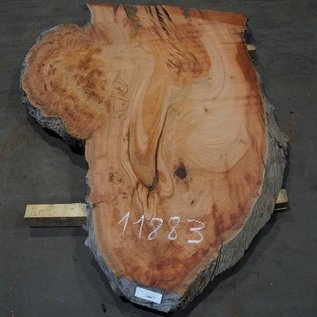 Eucalyptus burl, table top, approx. 1700 x 980 x 52 mm, 11883