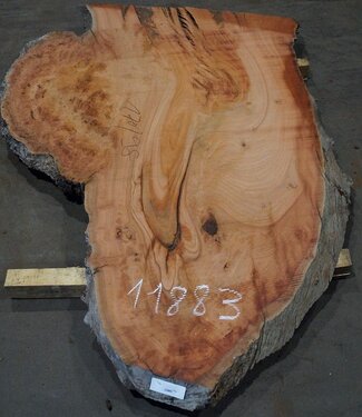 Eucalyptus burl, table top, approx. 1700 x 980 x 52 mm, 11883