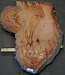 Eucalyptus burl, table top, approx. 1700 x 980 x 52 mm, 11883
