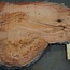Eucalyptus burl, table top, approx. 1700 x 980 x 52 mm, 11883