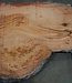 Eukalyptus Maser, Tischplatte, ca. 1700 x 980 x 52 mm, 11883