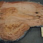 Eucalyptus burl, table top, approx. 1700 x 980 x 52 mm, 11883