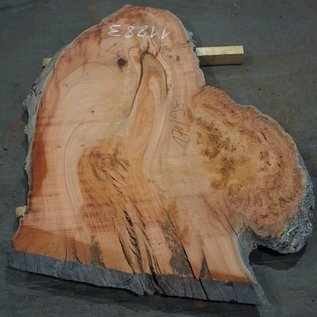 Eucalyptus burl, table top, approx. 1700 x 980 x 52 mm, 11883